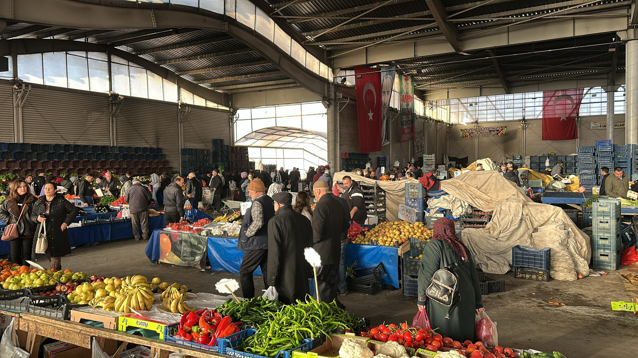 D2D212E1 563A 4B9C B784 F295Cc0Ac480