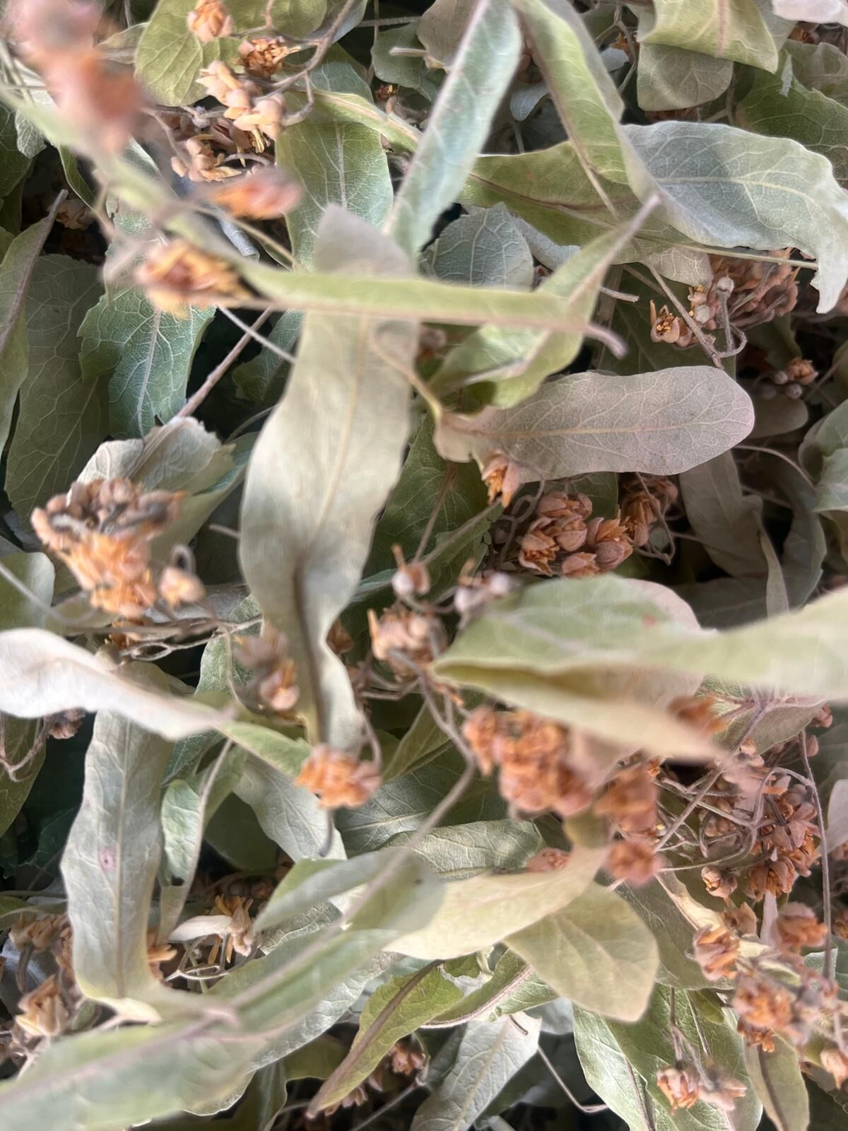 D3B22027 41A7 4E7E Bd3F De4B5Ee14A1D