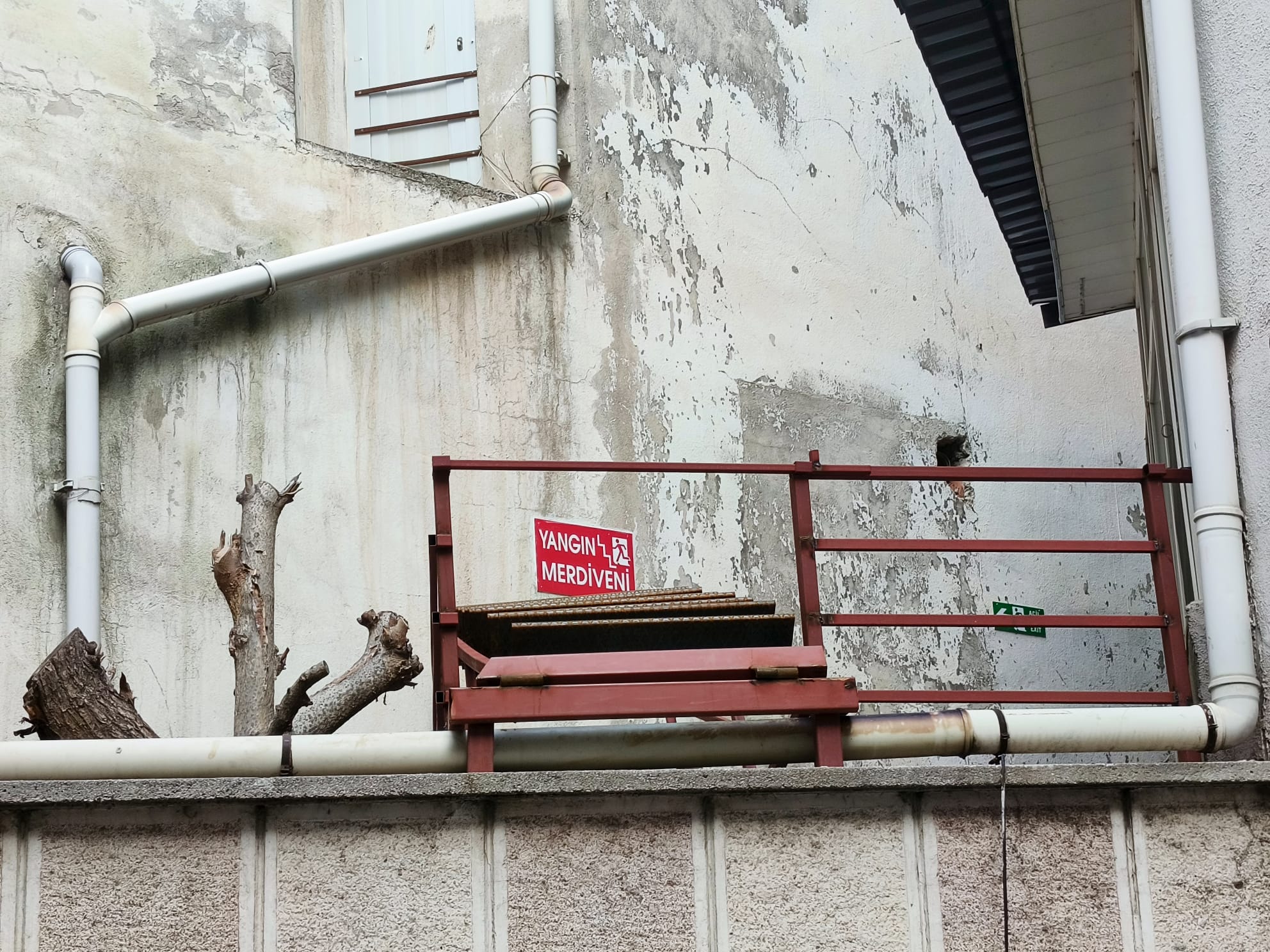 D750B1C3 Cee0 4233 B553 0112E5Bcc873