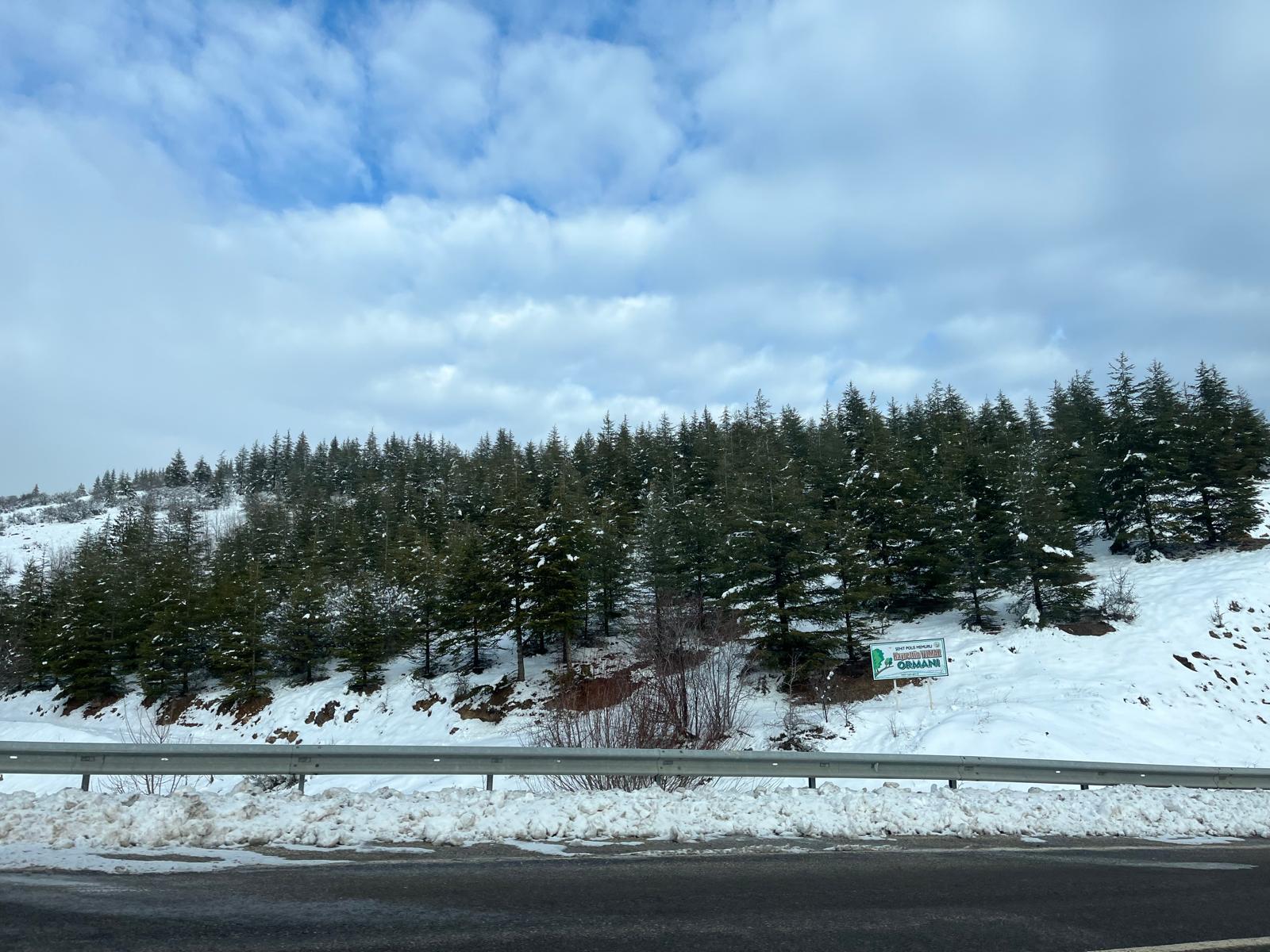 Dae07333 763E 4B81 8B82 A0C18881Dcd9