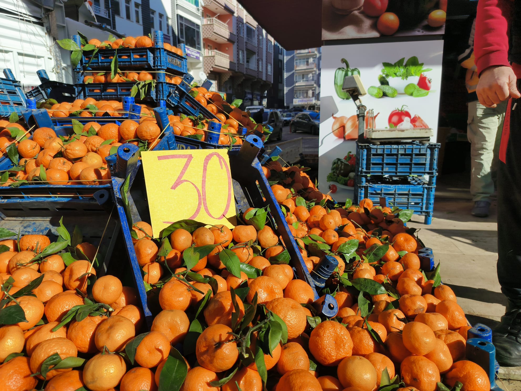 E7Df8B76 1072 46E2 A48A Aedb0Dae3E82