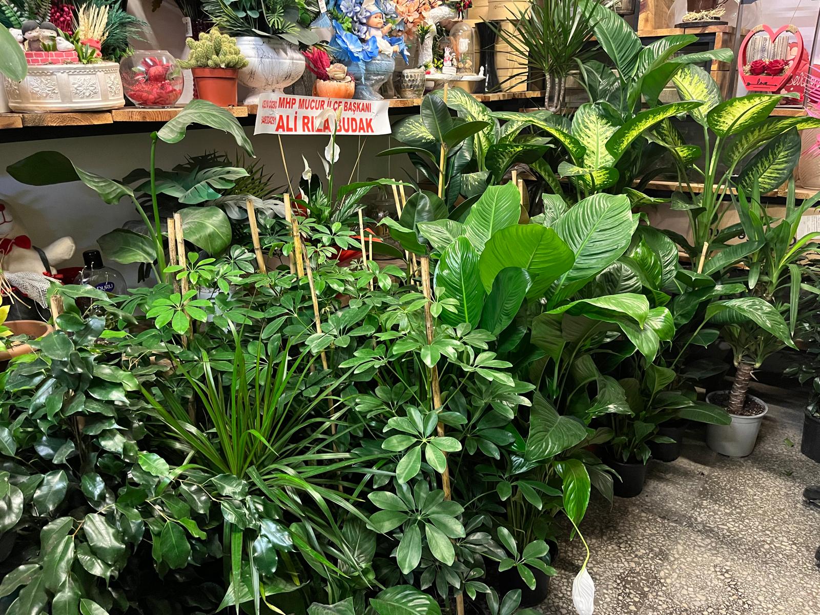 E871F558 8E2C 4Ca8 Aa97 87Cb972Ae52D