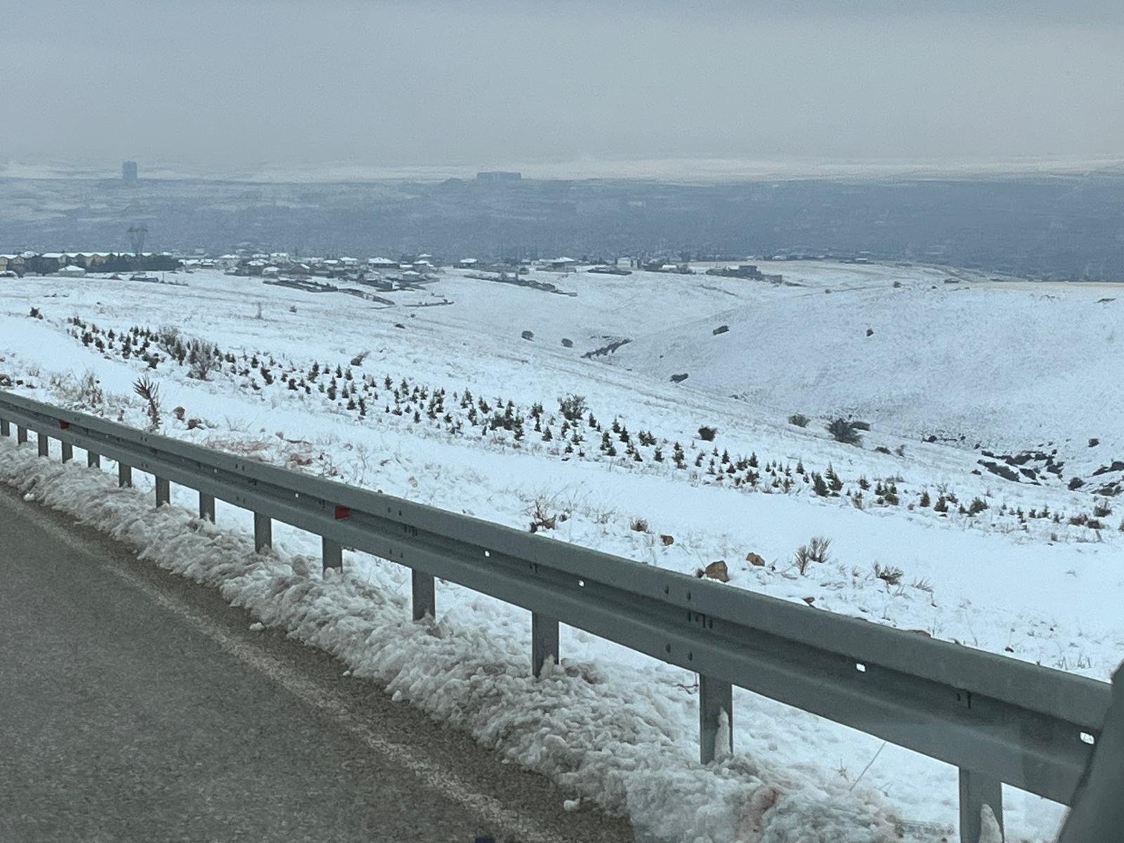 Ede42Ff8 Ec88 42A6 A9F5 52B41C7F6F34