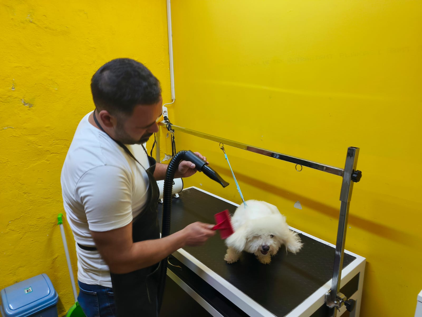 Fc4C6958 9Bd0 481F Af4B Fe39Ace040C6