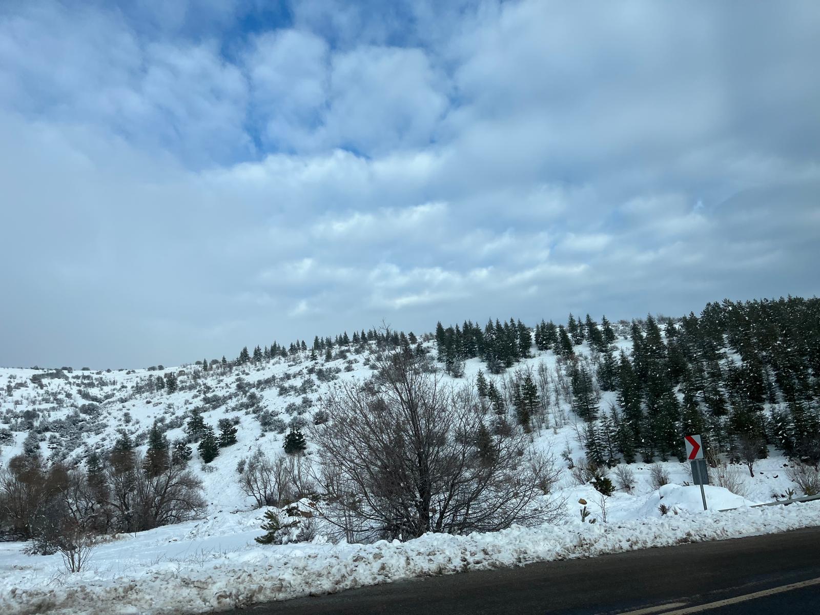 Fe2E1503 Ba66 4Baa 90F1 1A5592Bb2D39