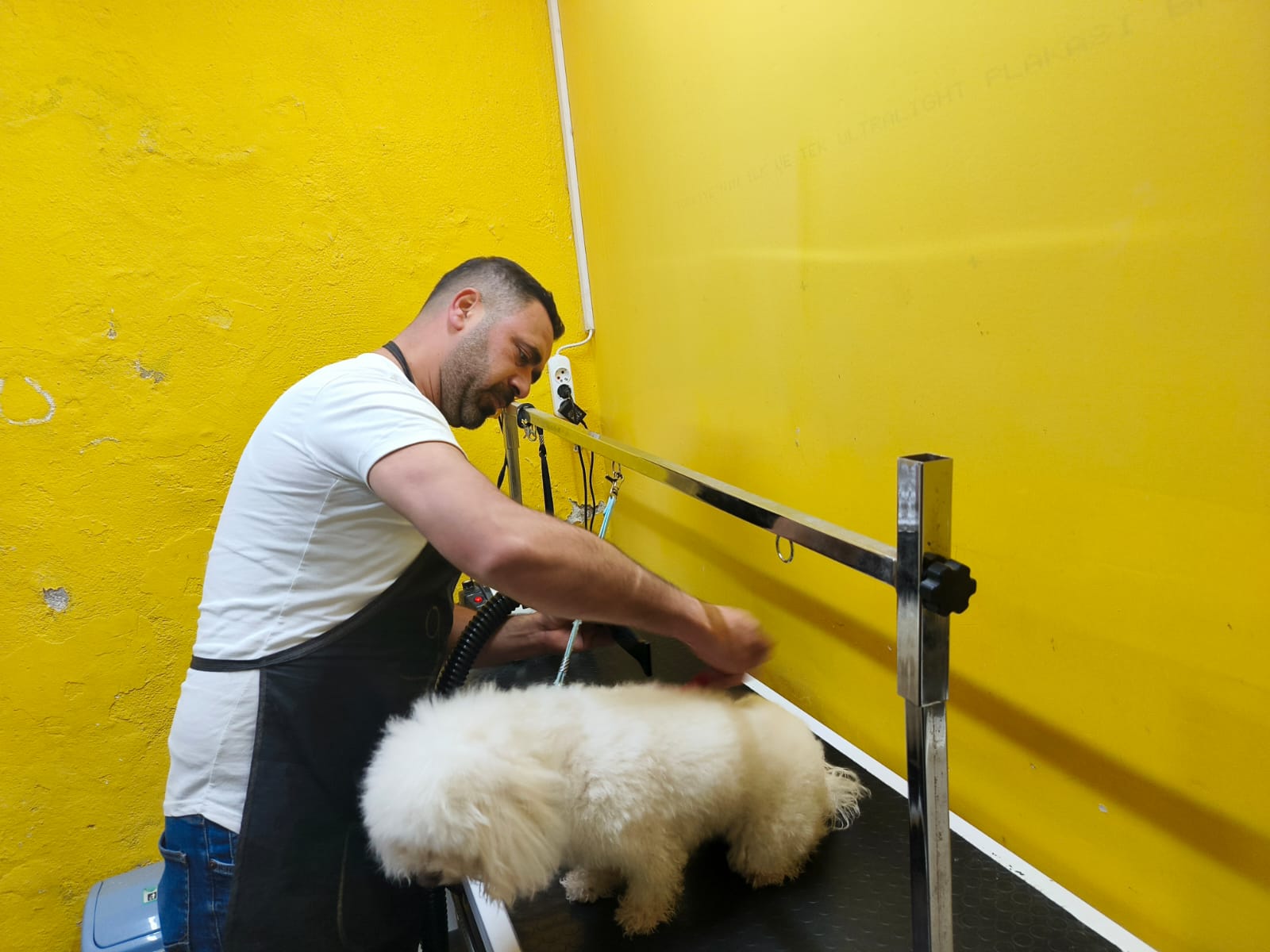 Ffab2841 43B6 4F1B B3Ca Df71F9995231