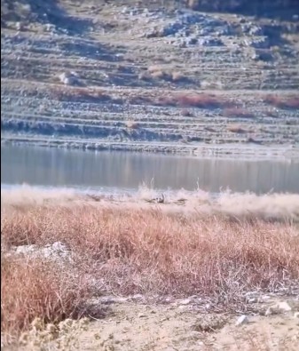 Gölette Nadir Görüntü