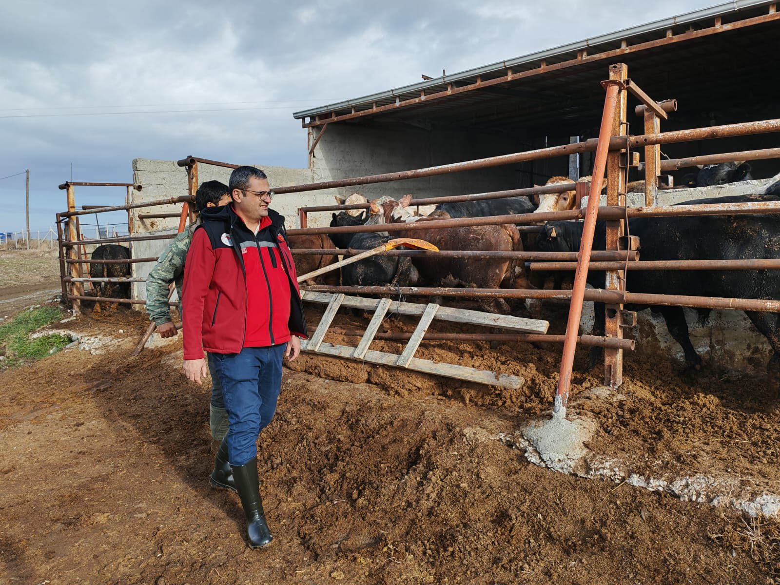 Kaman’da Veteriner Ekipler Sahada 1