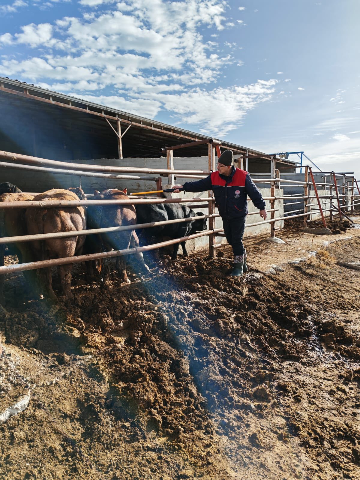 Kaman’da Veteriner Ekipler Sahada