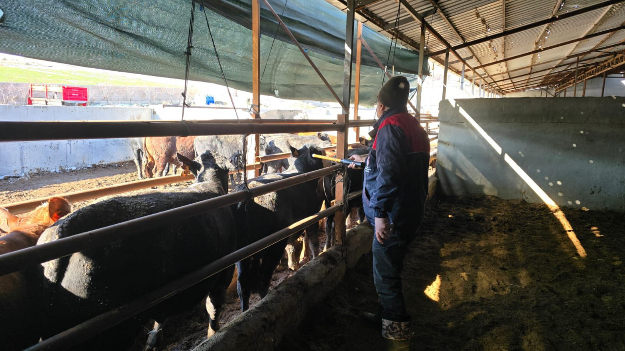 Kapak Fotoğrafı (48)