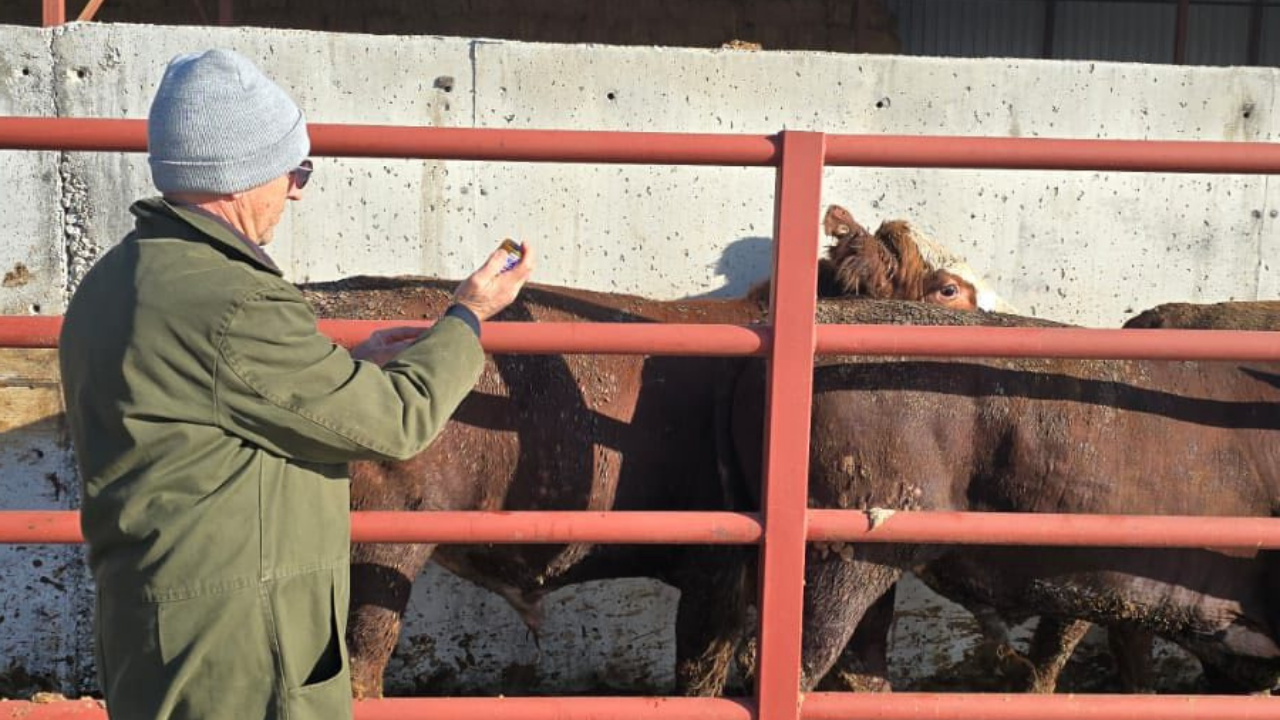 Kapak Fotoğrafı (50)