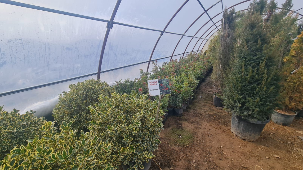 Kırşehir Memleket Haber Portalı 2026 01 16T122140.314