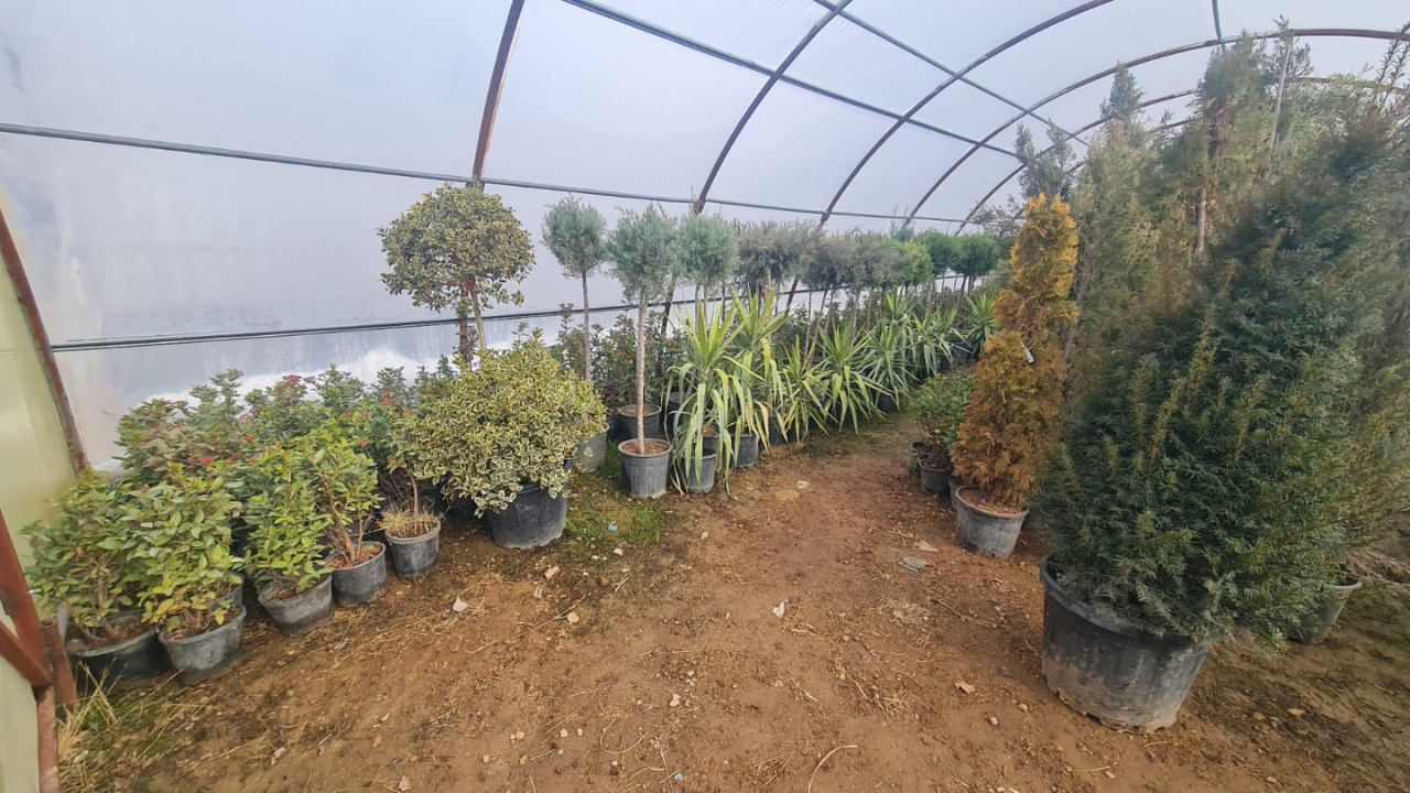 Kırşehir Memleket Haber Portalı 2026 01 16T122204.512