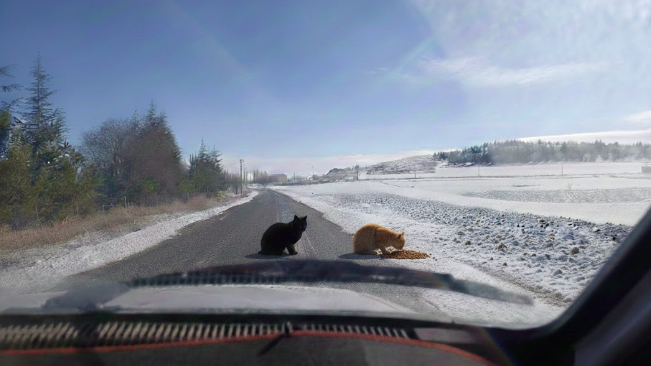 Kırşehir Memleket Haber Portalı 2026 01 19T113931.394