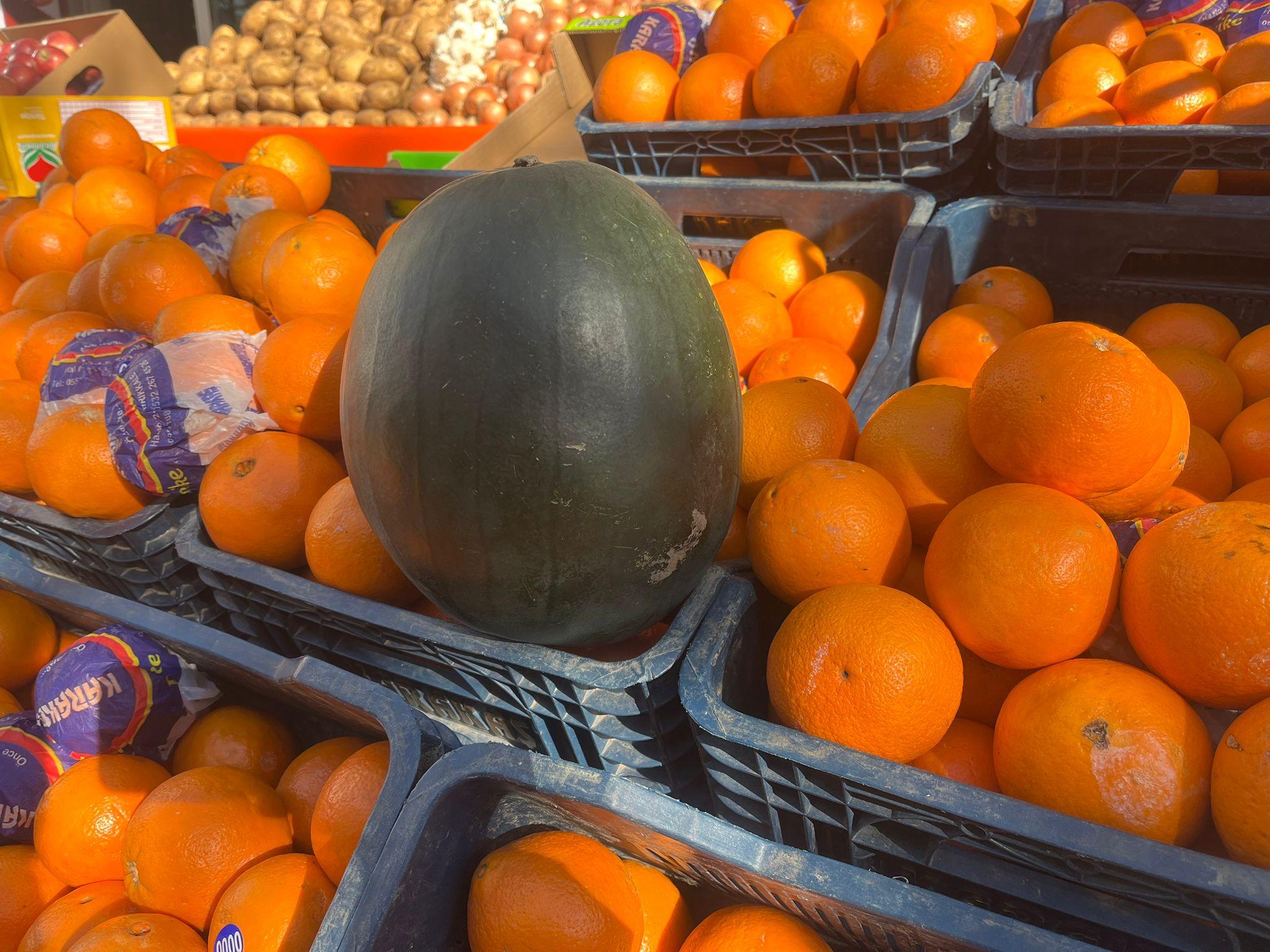 Kırşehir’de Kışın Ortasında Yaz Esintisi 1