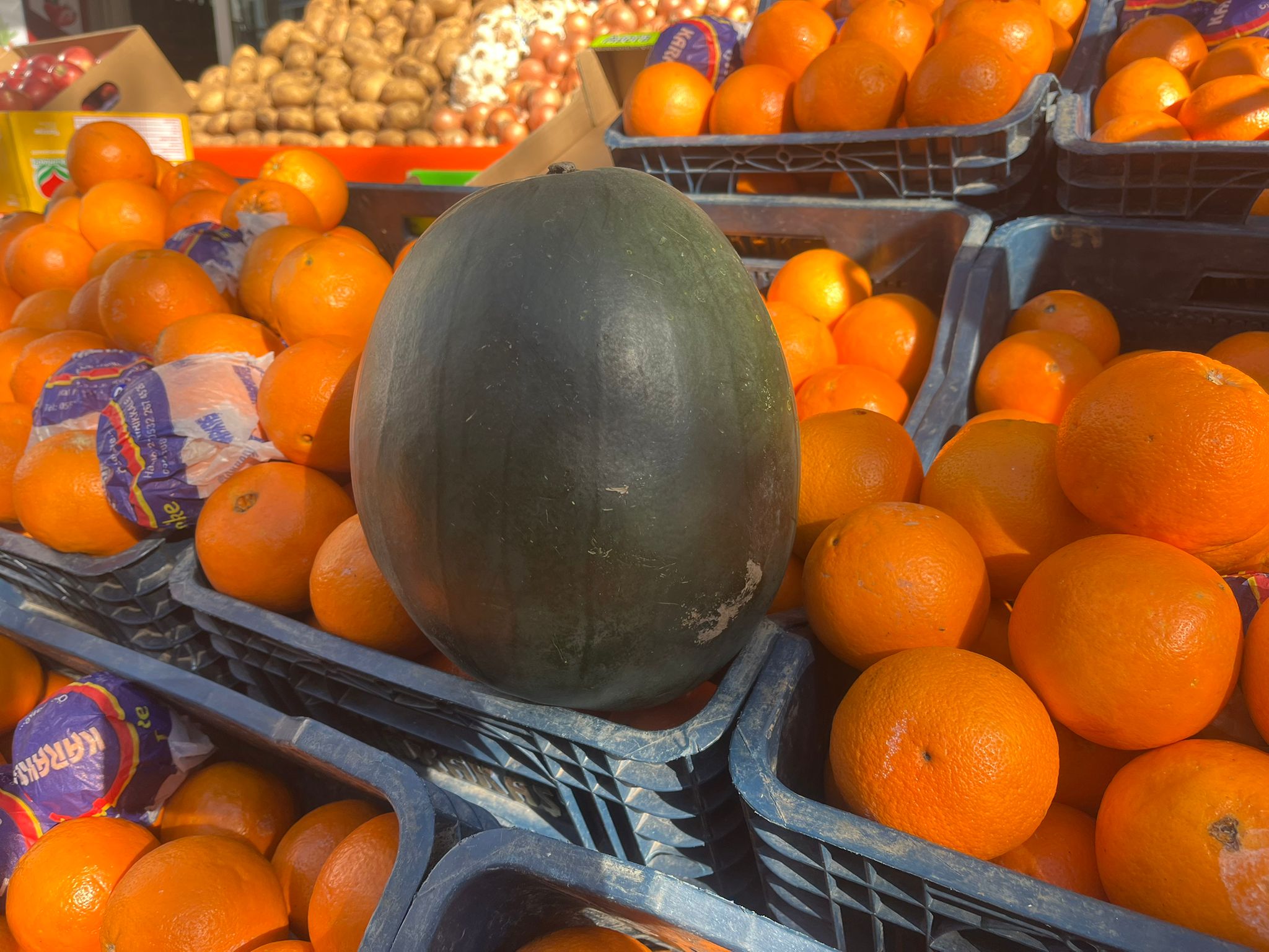 Kırşehir’de Kışın Ortasında Yaz Esintisi 2