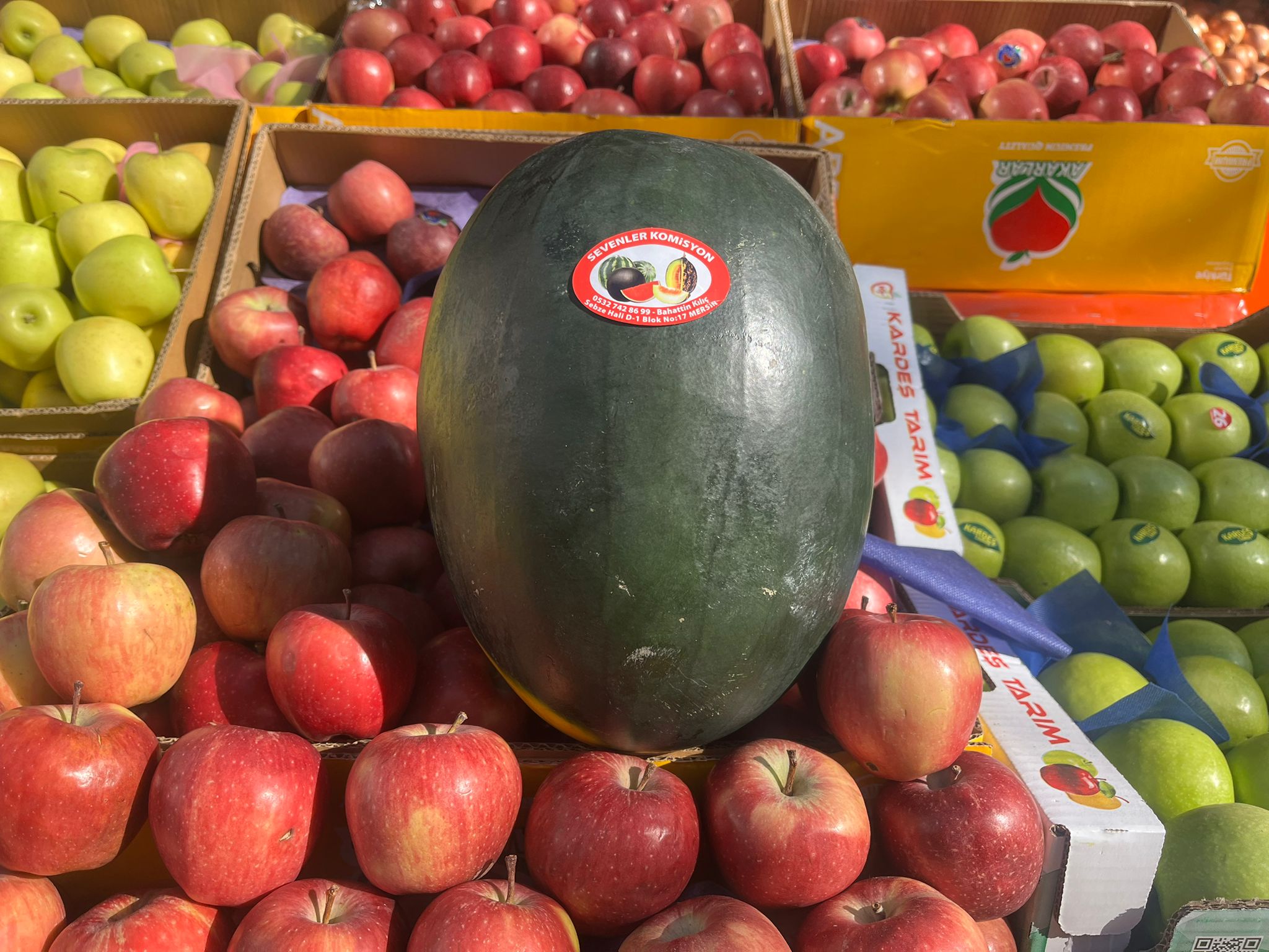 Kırşehir’de Kışın Ortasında Yaz Esintisi 4