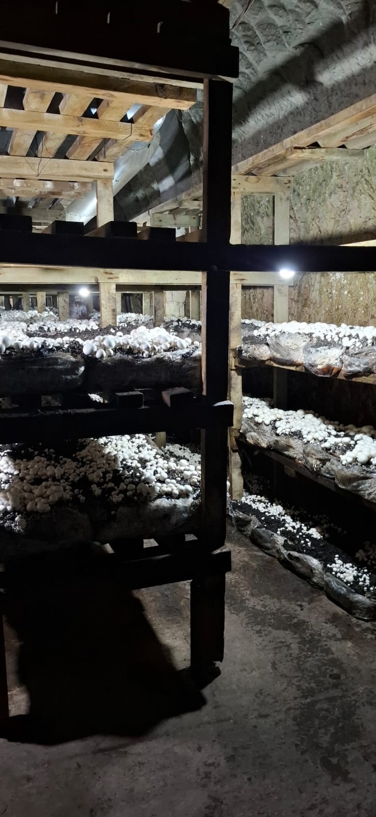 Öğrenciler Uygulamalı Tarım Deneyimi Yaşadı3