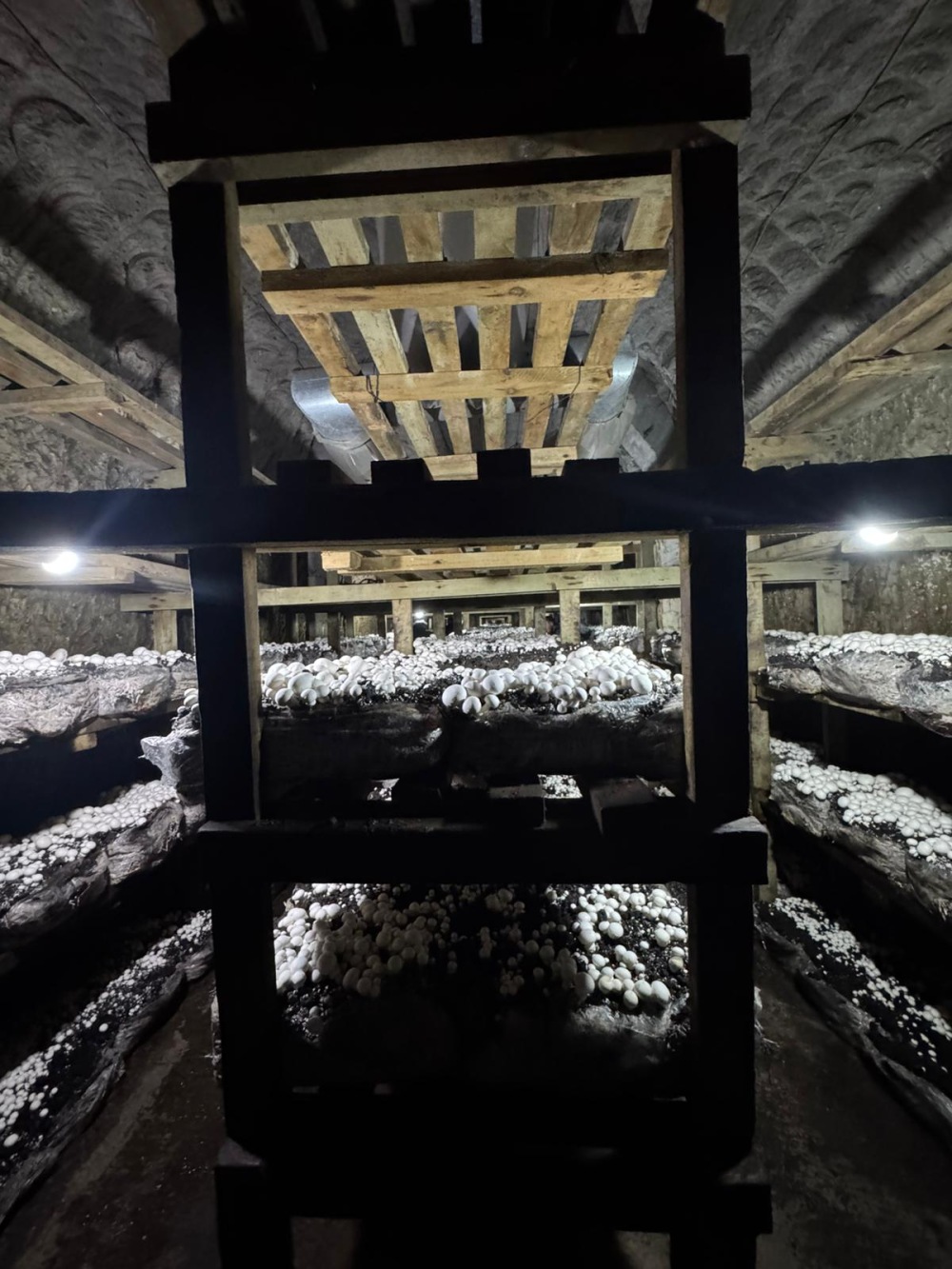 Öğrenciler Uygulamalı Tarım Deneyimi Yaşadı4