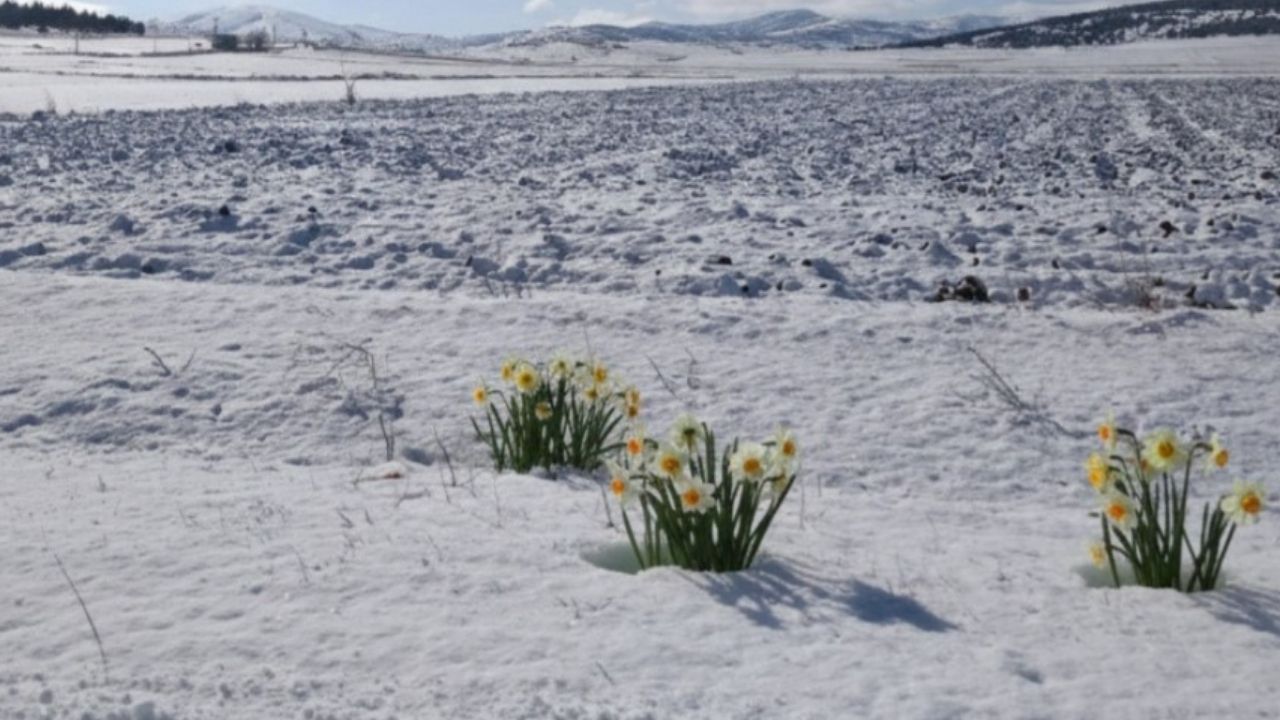 Zeliha 2026 01 17T124037.016