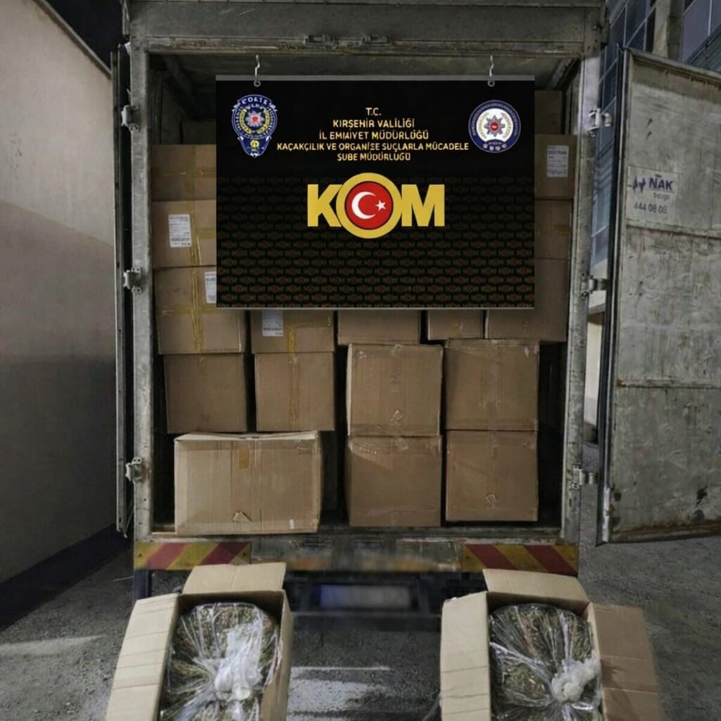 20260311Aw659466