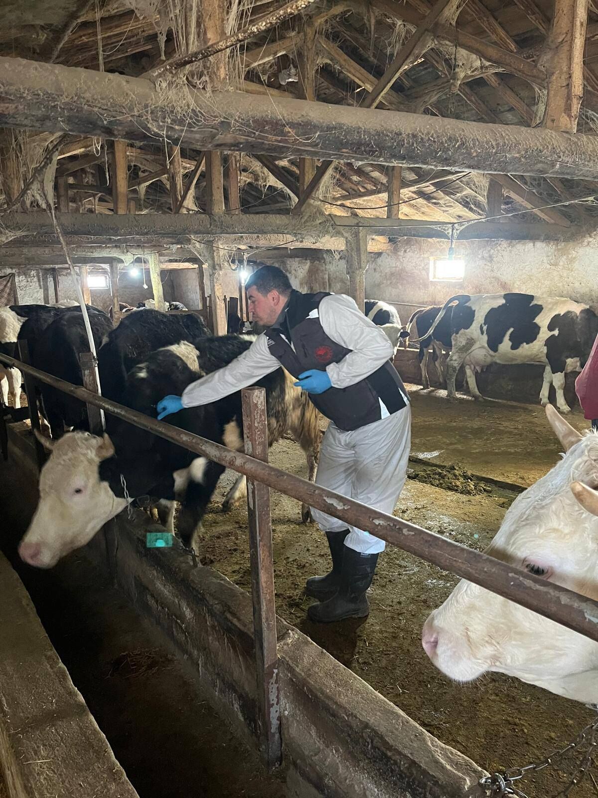 5-26