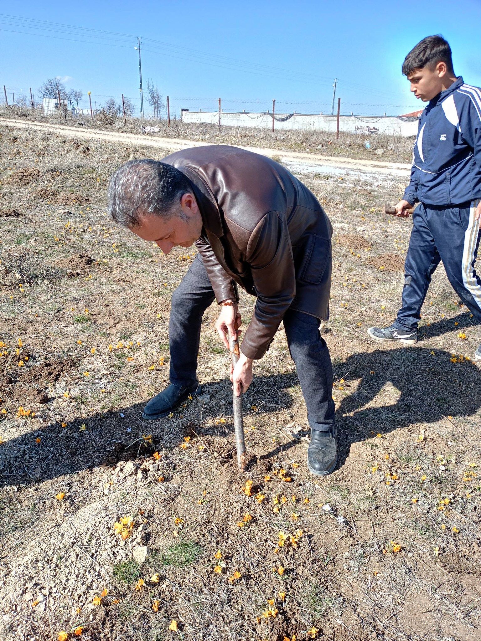 Çiğdem3