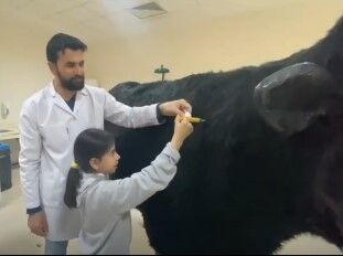 Hayvan Sevgisi Kampüse Taşındı (2)