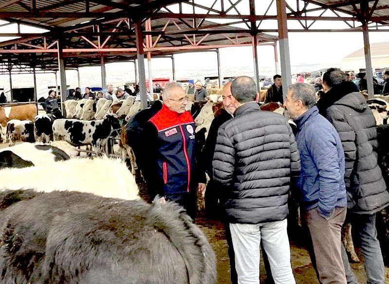 Kırşehir’de Hayvancılığın Kalbi Bu Pazarda Atıyor (1)