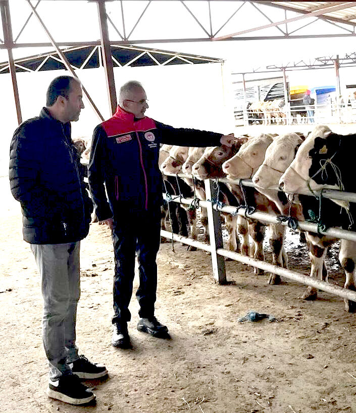 Kırşehir’de Hayvancılığın Kalbi Bu Pazarda Atıyor (2)