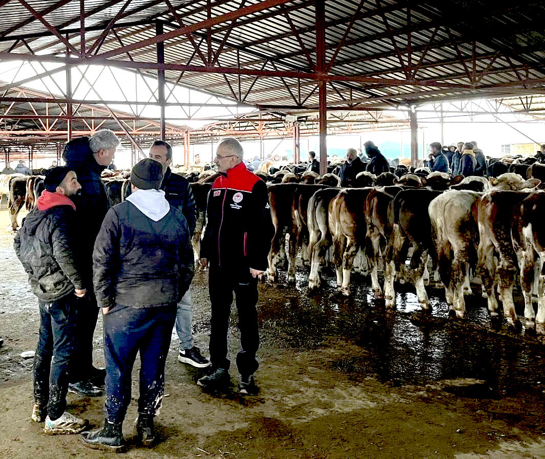 Kırşehir’de Hayvancılığın Kalbi Bu Pazarda Atıyor (3)