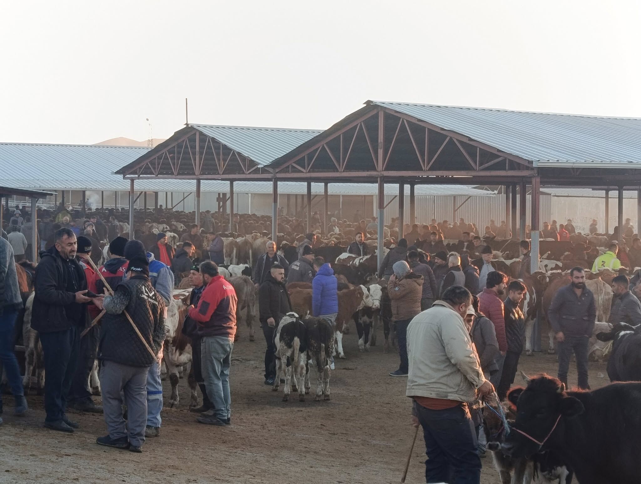 Kırşehir’de Kurban Bayramı Öncesi Fiyatlar Cep Yakıyor 3