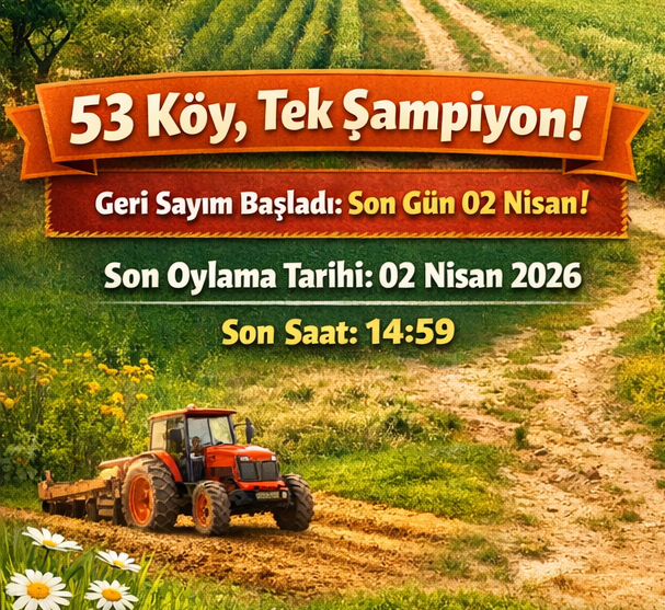 Köyletr