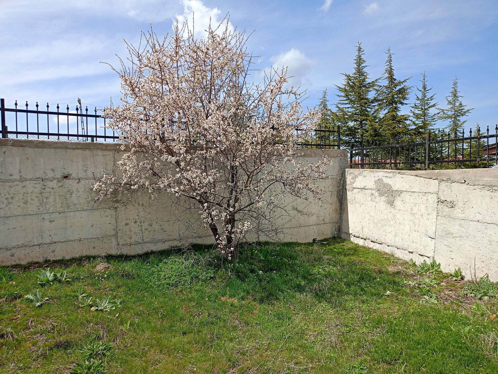 Akçakent-8