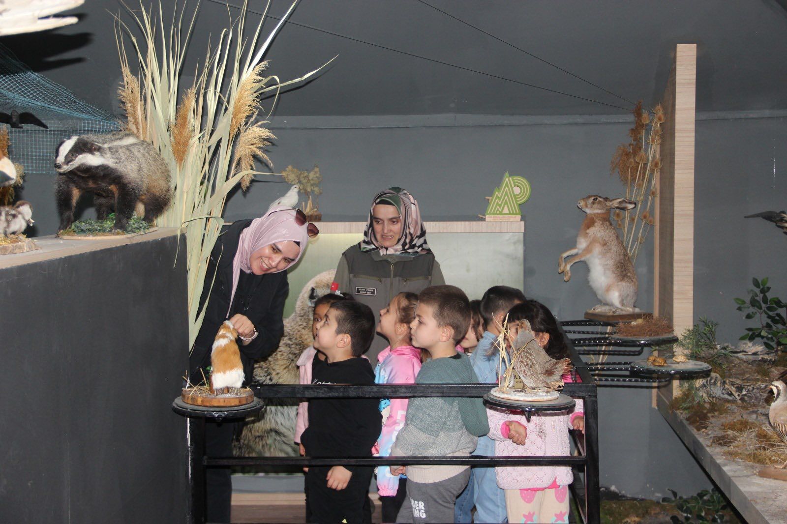 Anaokulu Öğrencileri Yaban Hayatını Yerinde Tanıdı 4