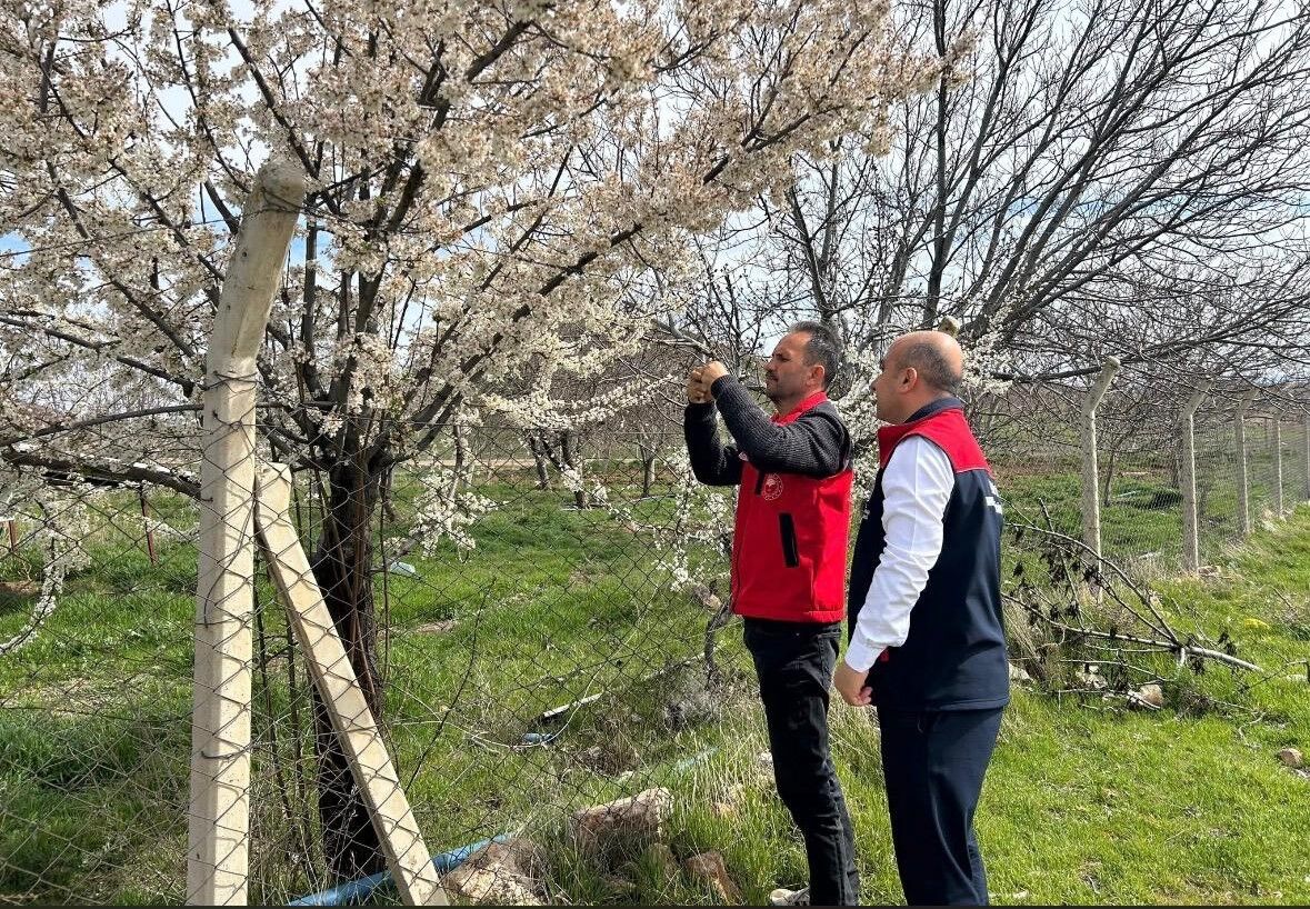 Gece Gelen Don Kırşehir’i Alarm Durumuna Geçirdi