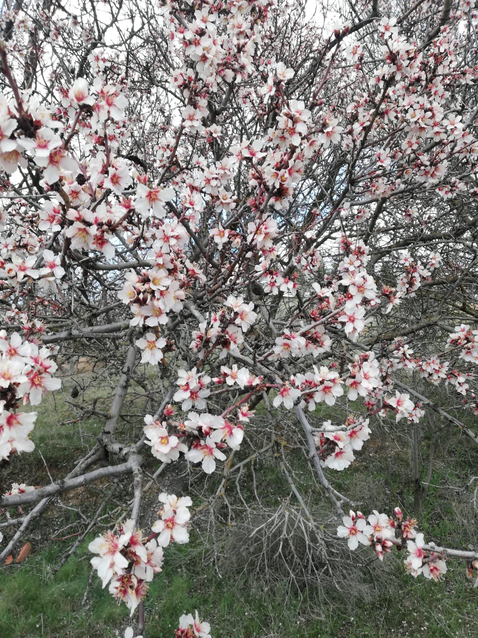 Hasar Tespiti Başlatıldı 7