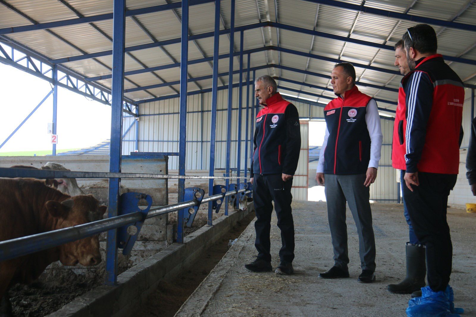 Kırşehir’de Hayvancılığın Nabzı Tutuldu! 4