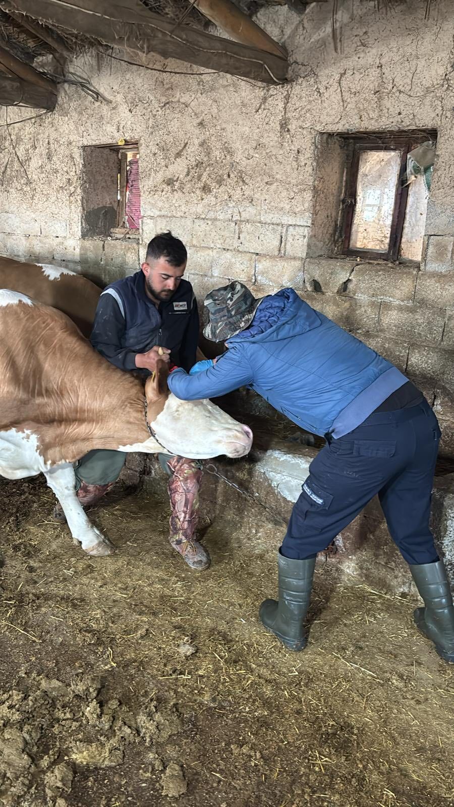 Kırşehir’de Tehlike Kapıya Dayanmadan Müdahale Başlatıldı 2