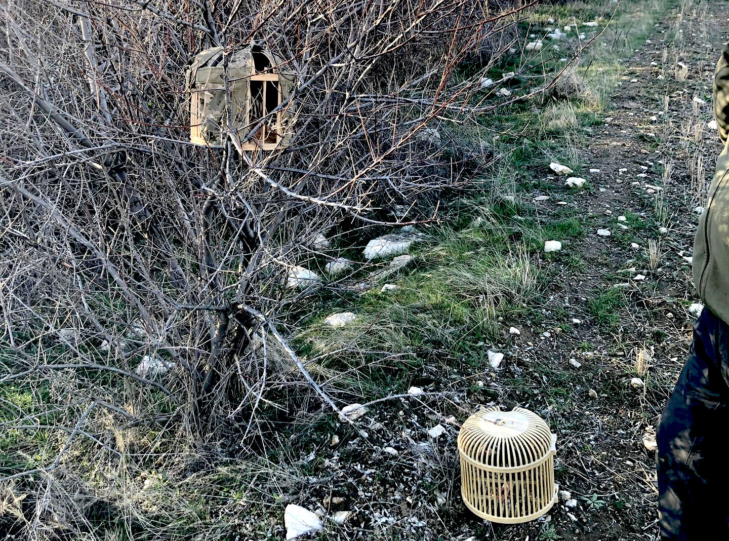 Kırşehir’de Yasadışı Avcılığa Darbe3