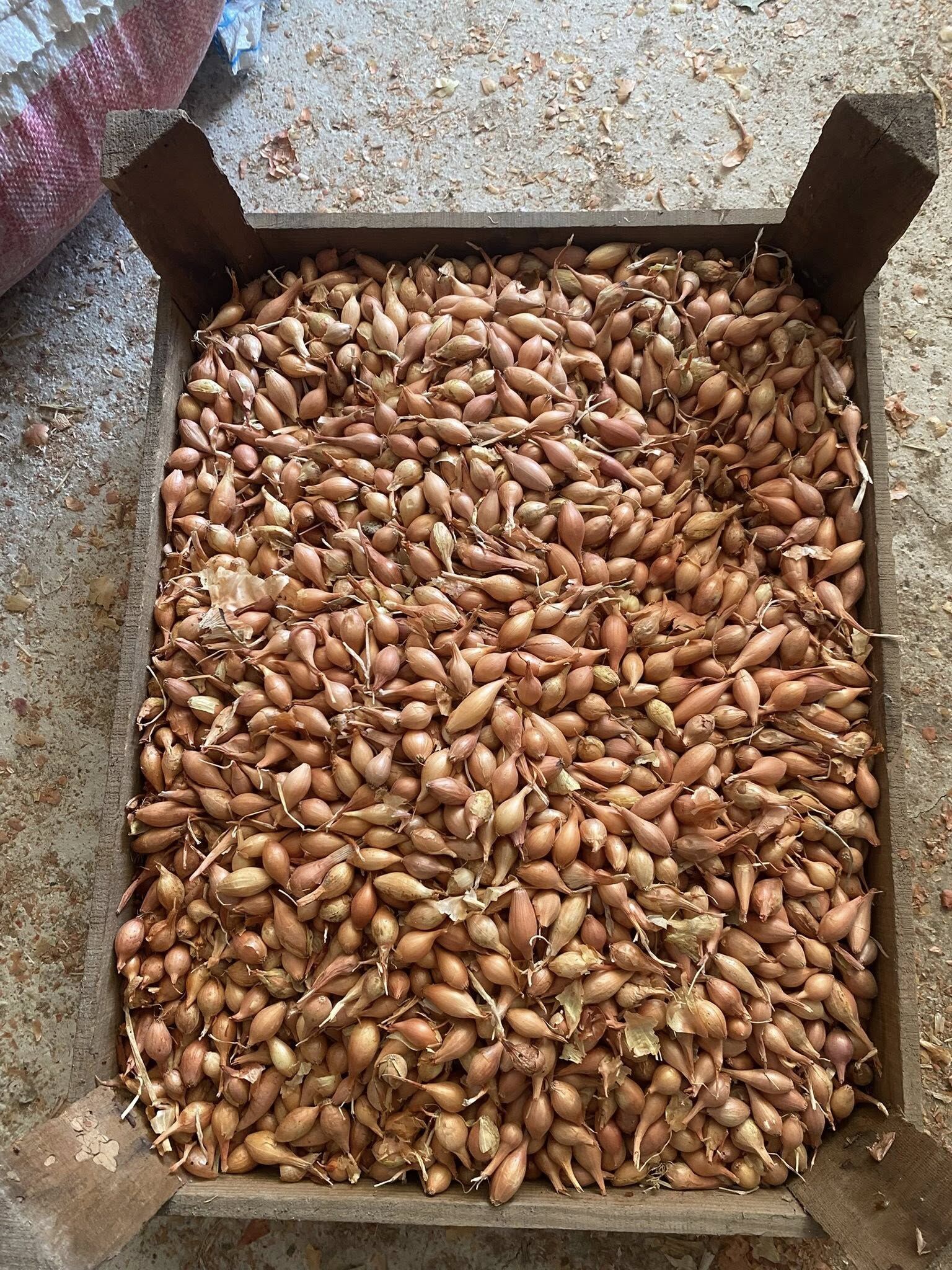 Kıska
