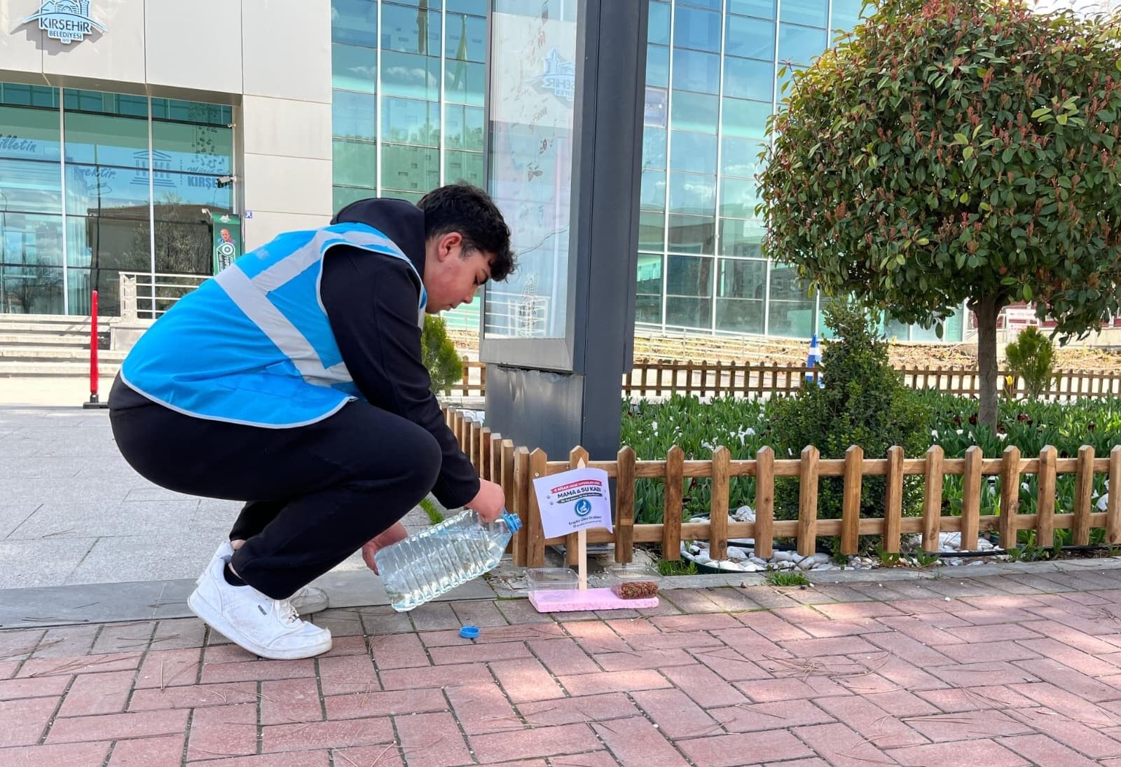 Sessiz Dostlar İçin Kırşehir’de Harekete Geçildi 4