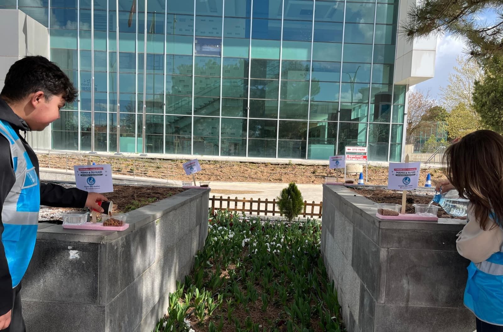 Sessiz Dostlar İçin Kırşehir’de Harekete Geçildi 5