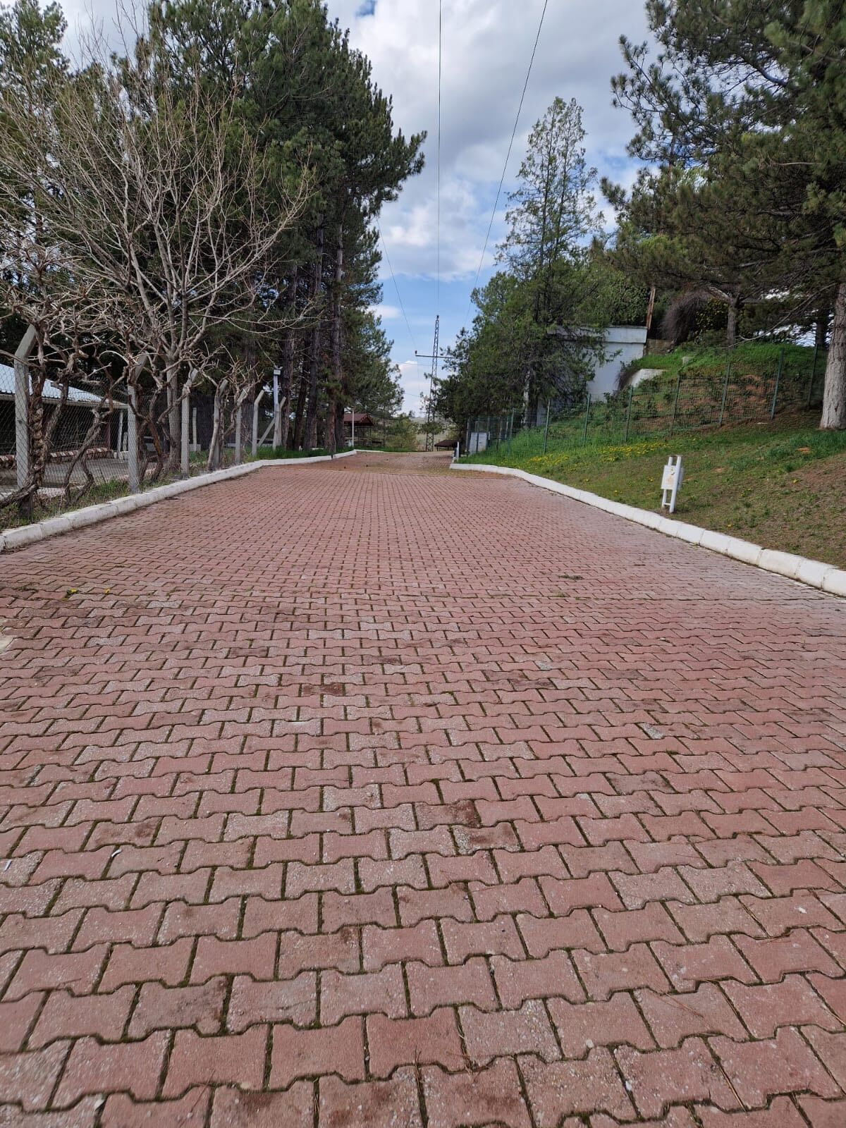Sosyal Alanlar Yenilendi (2)