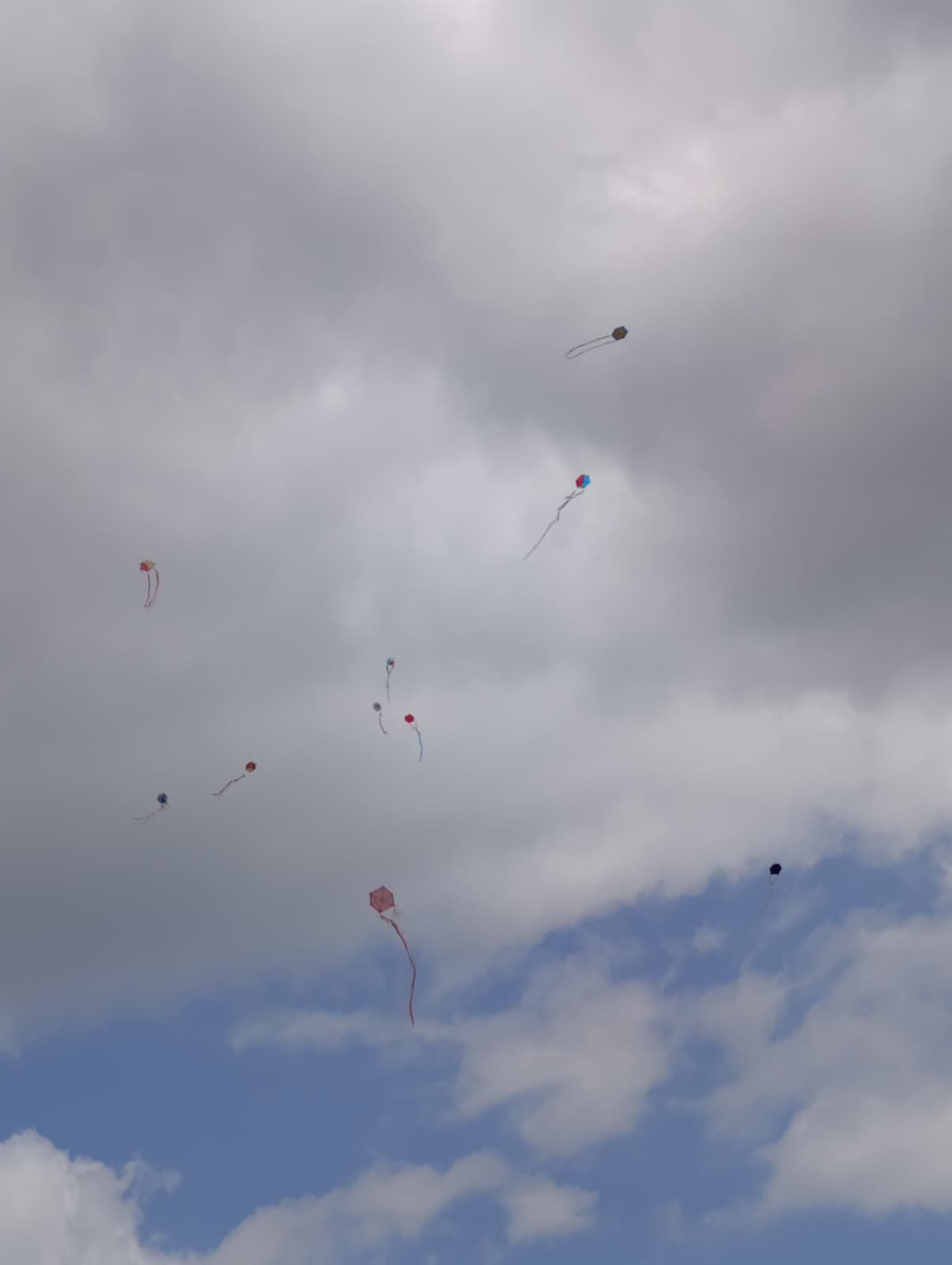 689009586 1601567644961756 2266233185387455393 N