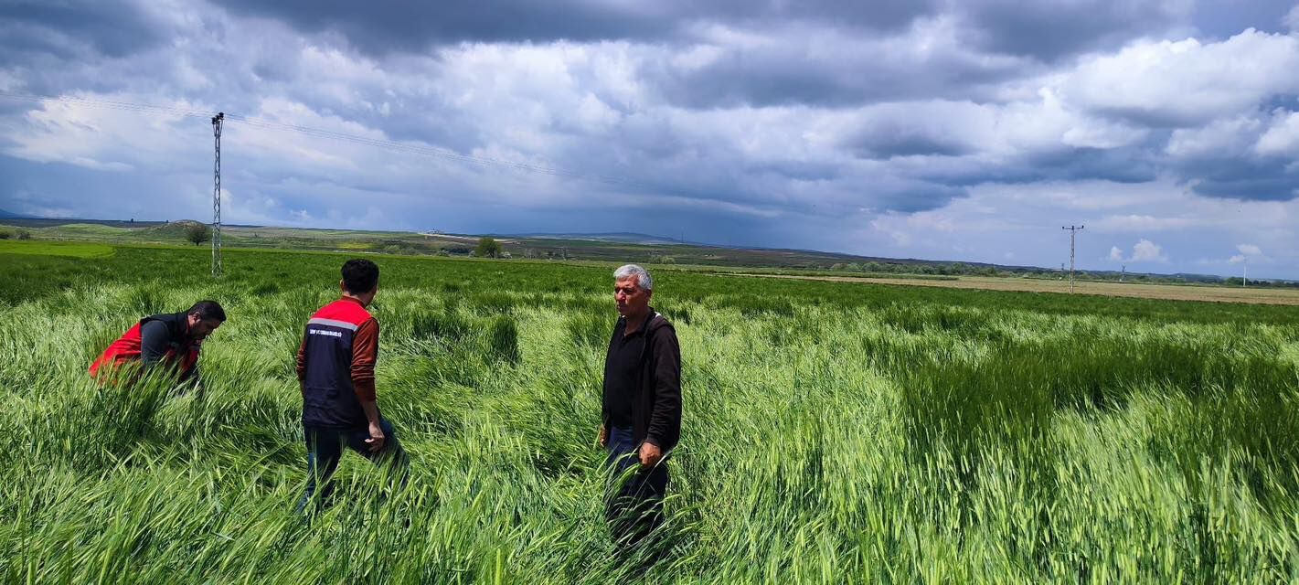 Harmanaltı Ve Yörücek Köylerinde Sel Hasarı Ortaya Çıktı 4