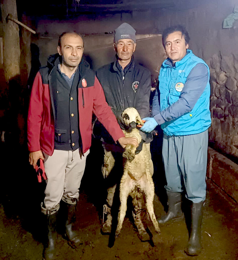 Kırşehir’de Hafta Sonu Hayvan Sağlığı Mesaisi (2)