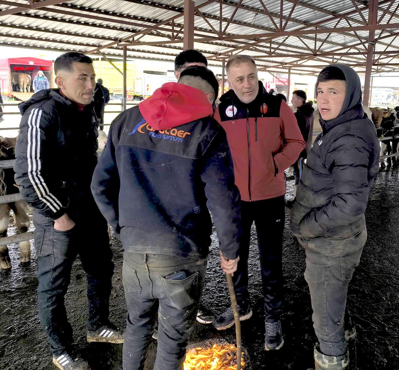 Kırşehir’de Hafta Sonu Hayvan Sağlığı Mesaisi (3)