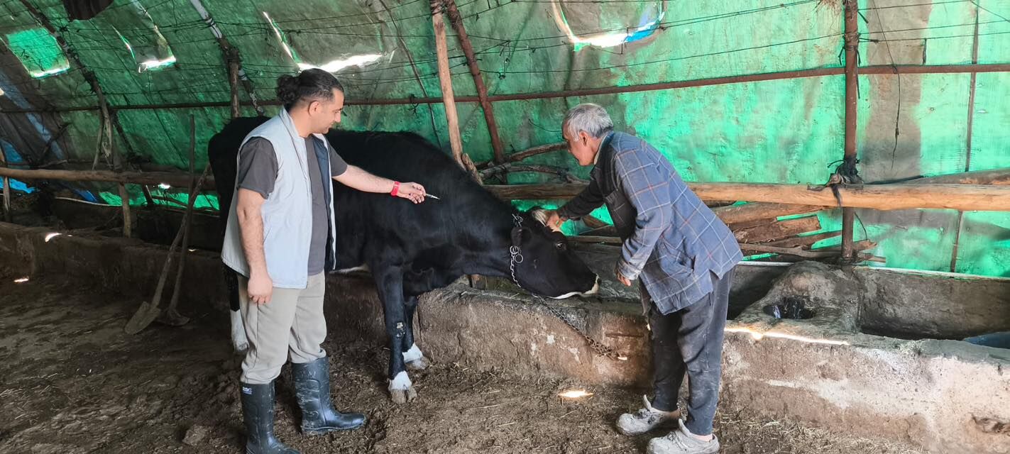 Kırşehir’de Hayvanlar Tek Tek Kayıt Altına Alınıyor 1