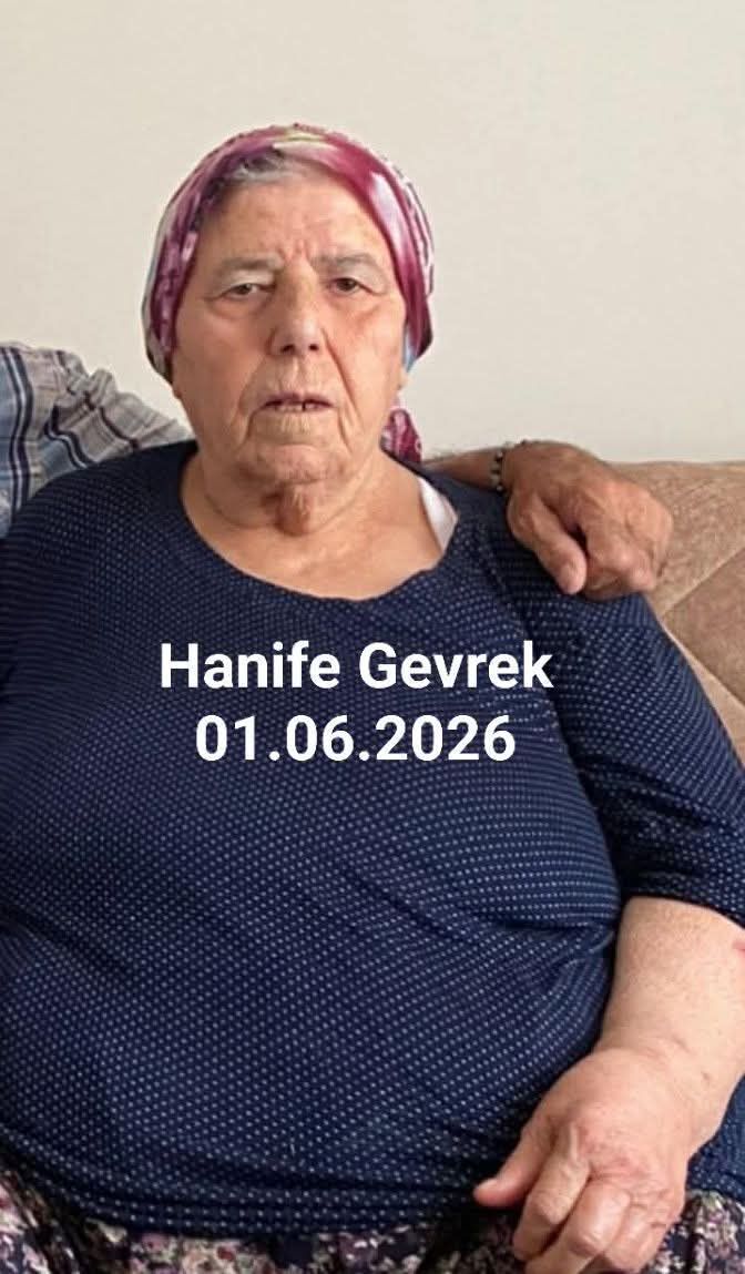 714584927 1688130275647066 5386087363258430142 N